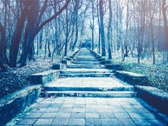 霊視｜電話占いウラナ